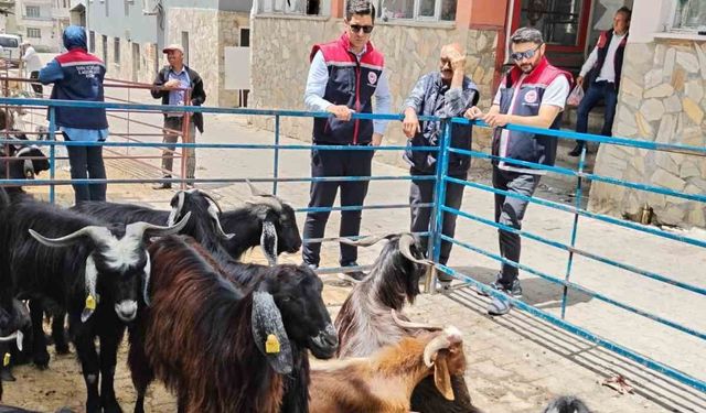 Bozdoğan'da kurban satış yerleri denetlendi
