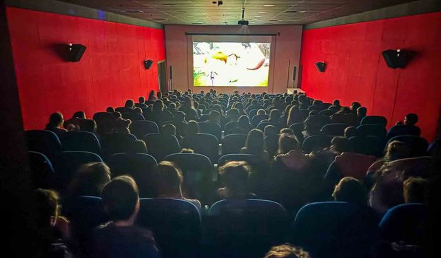 Aydın'da 252 bin kişi sinemaya gitti