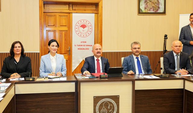 Vali Varol'dan incir mesajı: "Aydın'ın altın değerindeki ürününü birlikte koruyacağız"