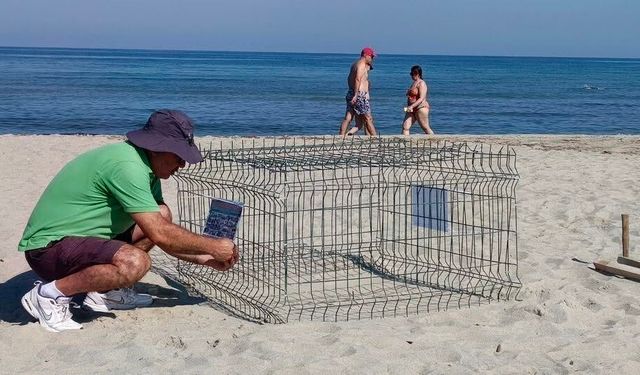 Duyarlı gençlerin ihbarı sayesinde, caretta yuvası koruma altına alındı