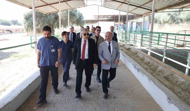 ADÜ Rektörü Kent, Ziraat Fakültesi'nde incelemelerde bulundu