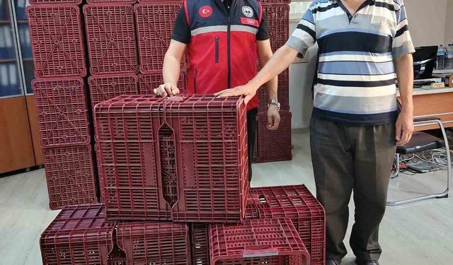 Köşk'te incir üreticilerine hibeli kasa desteği