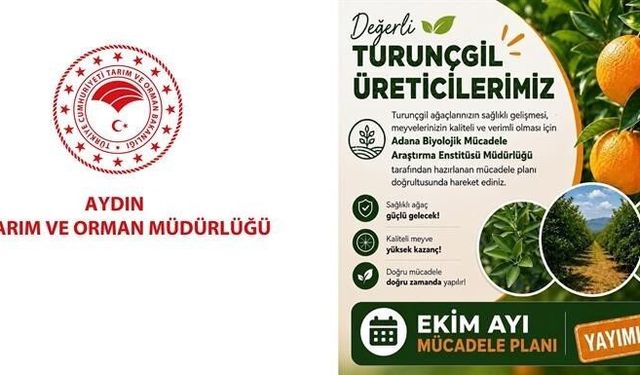 Aydın'da turunçgil bahçeleri için Ekim ayı mücadele planı açıklandı