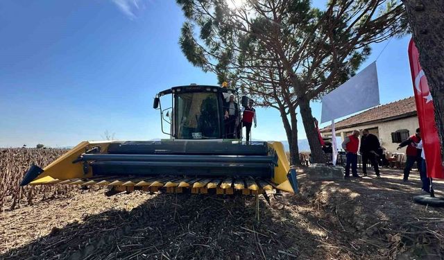 Koçarlı'da ayçiçeğindeki hibe desteği meyvesini verdi, ürünler hasat edildi