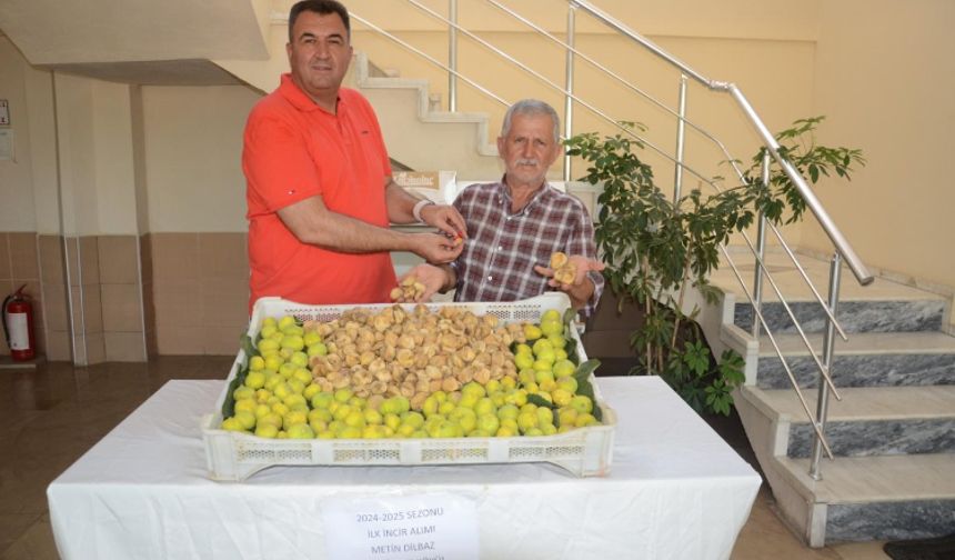 Sezonun ilk kuru inciri 250 liradan satın alındı