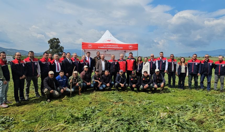 Mera kullanıma açıldı