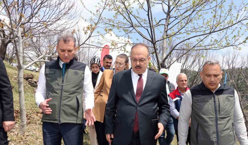 Aydın’da Kestane zararlısına karşı biyolojik mücadele