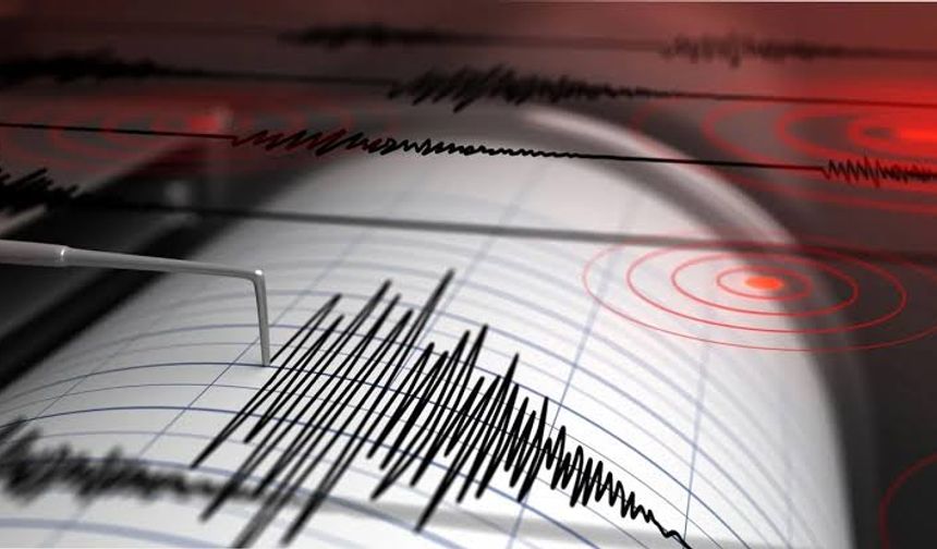 Ege 4,4 büyüklüğünde deprem ile sarsıldı