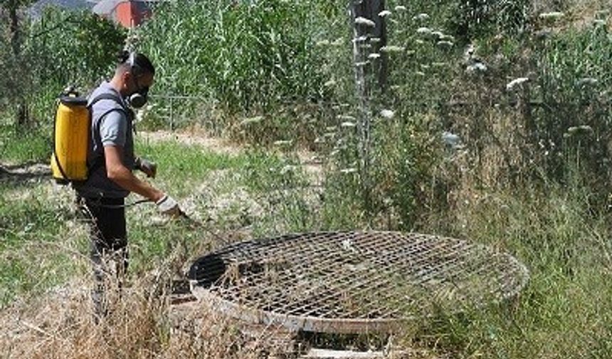Kuşadası Belediyesi halk sağlığı için vektörel mücadelesini sürdürüyor