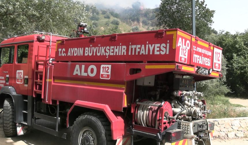 Aydın'daki yangın kontrol altına alındı