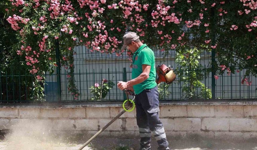 Yedieylül Mahallesi şehir hayatına geri döndü