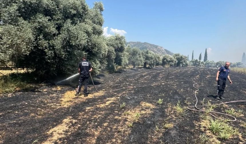 Başkan Kaya’dan yangın uyarısı: "Açık alanlarda ateş yakmayın"