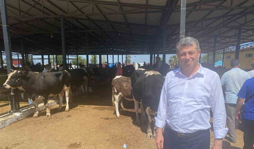 Başkan Künkcü hayvan pazarına indi