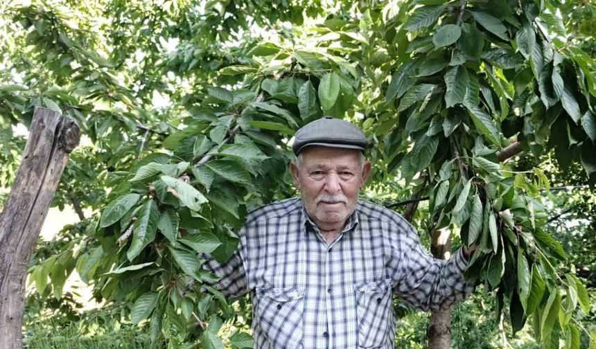 Ege bu yıl meyveye hasret