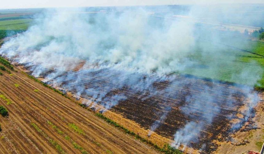 Karacasu Kaymakamlığı’ndan anız yakmama uyarısı
