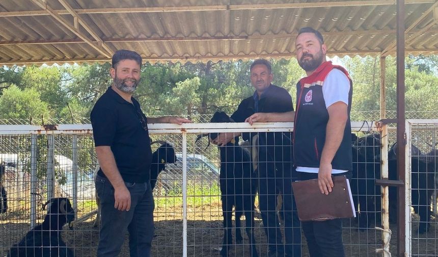 Karacasu’da kurban satış yerleri denetlendi