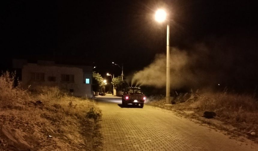 Karacasu’nun ’sinek timi’ işbaşında