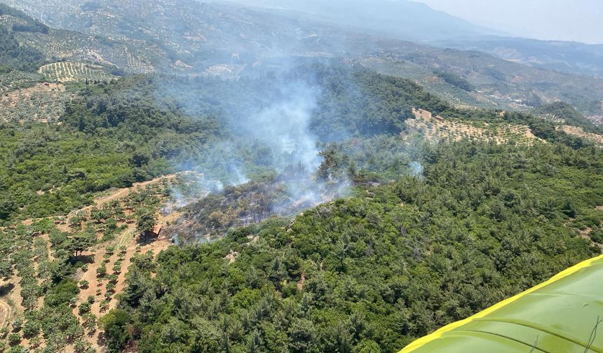 Germencik’teki orman yangını kontrol altına alındı