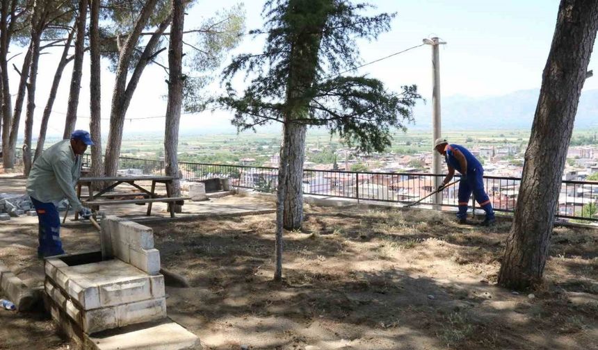 Yenipazar Çamlık Mesire Alanı düzenleniyor