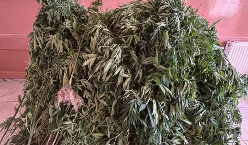 Aydın’da uyuşturucu operasyonu: 14 şüpheli yakalandı