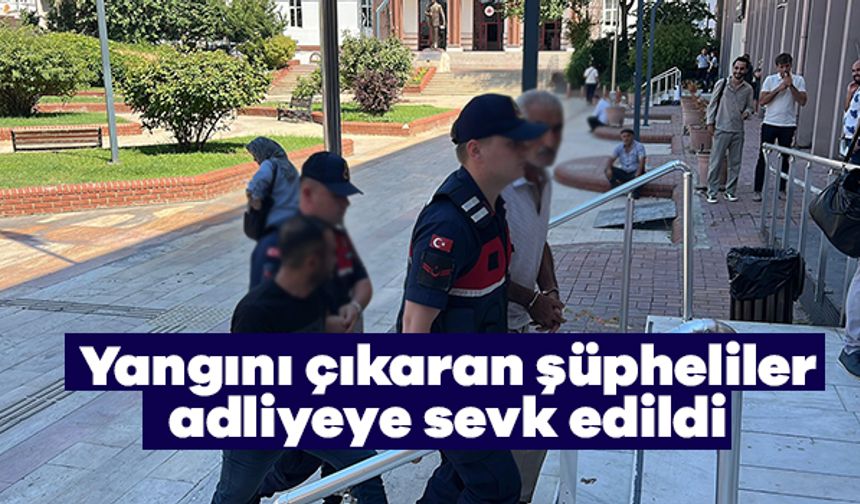 Zeytinlik Kül Oldu, Sorumlular Adliyede!