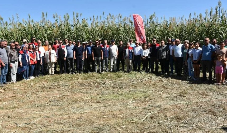 Aydın’da kaba yem açığını kapatacak proje meyvelerini veriyor