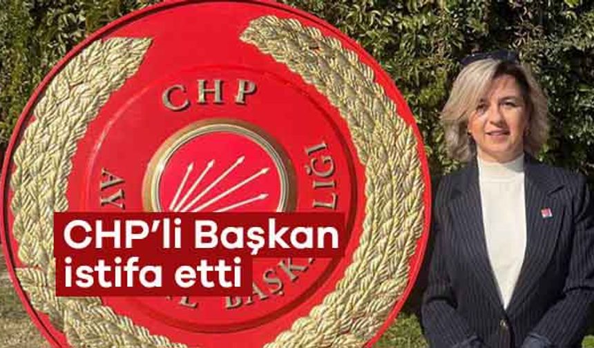 CHP'li Özyeğin Görevinden İstifa Etti