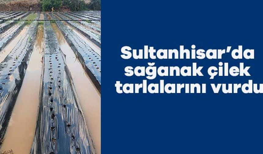 Sultanhisar’da sağanak çilek tarlalarını vurdu