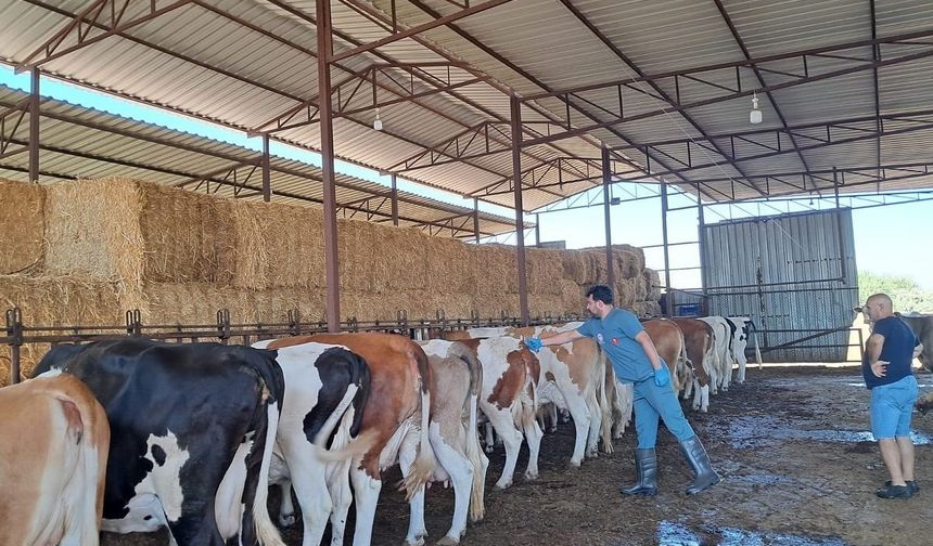 Köşk’te 12 mahalle karantinaya alındı