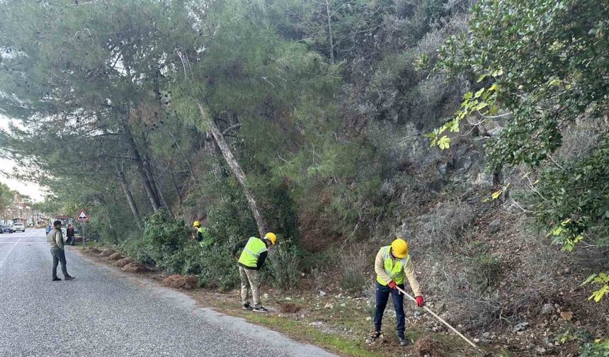 Milli Park’ta risk azaltma çalışmaları sürüyor