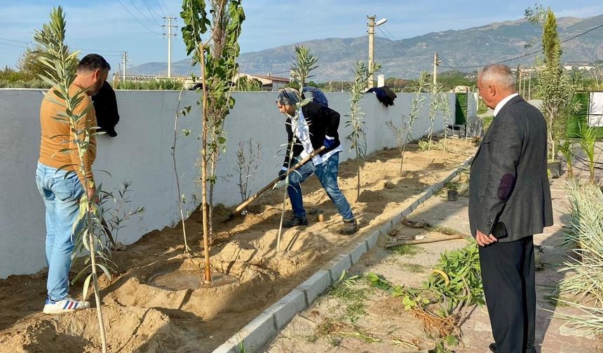 Sultanhisar’da can dostları için yeşil dokunuş