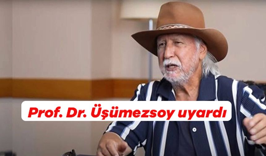 Prof. Dr. Üşümezsoy uyardı: “Güney yönünde 6 büyüklüğünde yeni bir deprem olabilir”