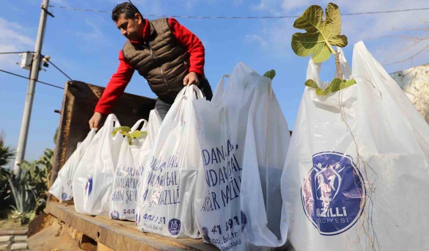 Nazilli Belediyesi'nin dağıttığı binlerce ağaç fidanı kısa sürede tükendi