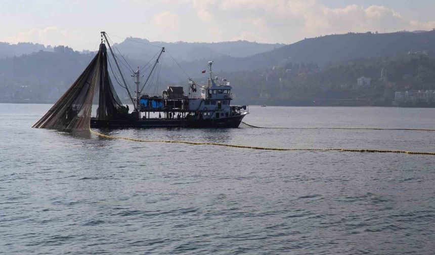 Kuşadası'nda dil ve pisi balığı avcılığına geçici yasak