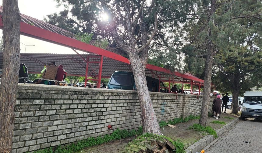 Efekent Pazaryeri'nde rüzgar ağacı devirdi