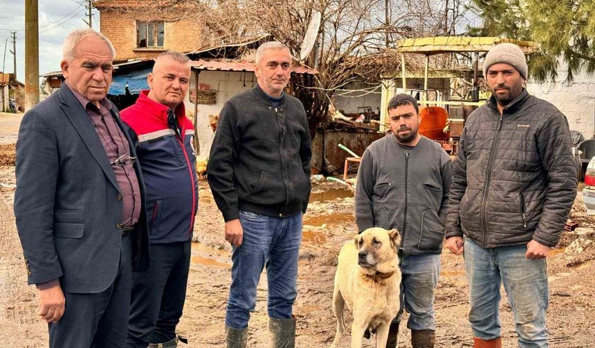 Aşırı yağışlar sonrası Söke'de hayvanlar güvenli bölgelere alındı