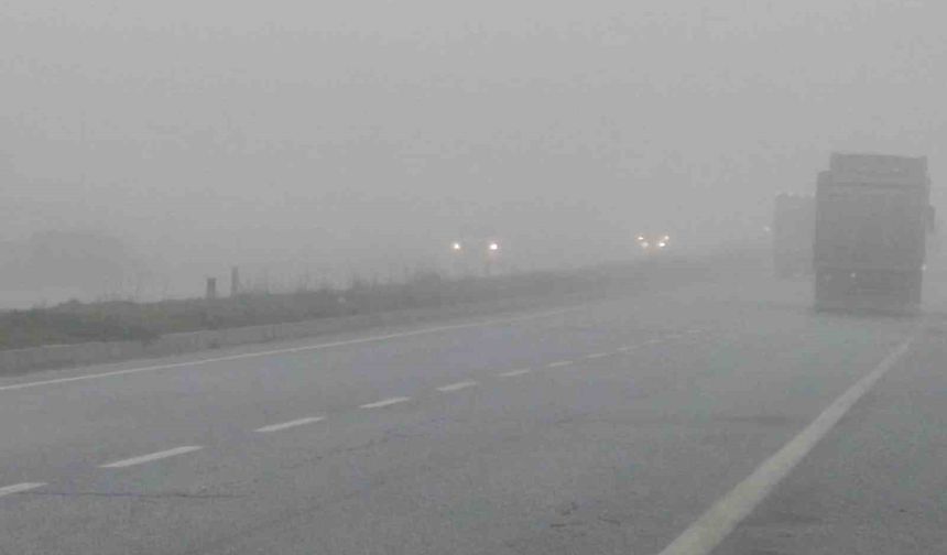 Aydın'da sis sürücülere zor anlar yaşatıyor