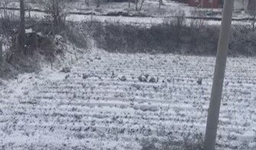 Aydın'ın yüksekleri beyaza büründü