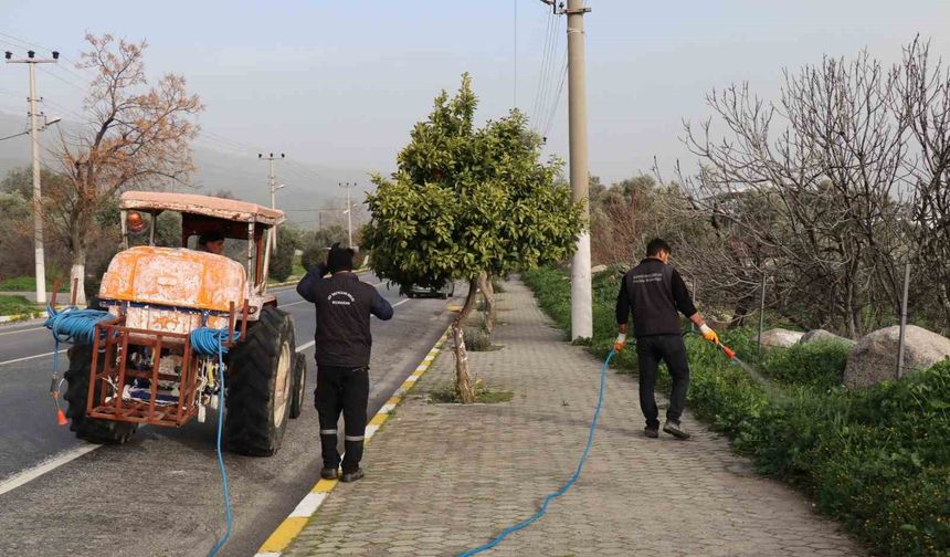 Bozdoğan'da yabani ot mücadelesi