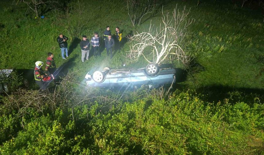 Domuza çarpan otomobil uçuruma yuvarlandı