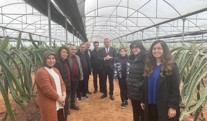 'Efeler'de Pitaya Güçleniyor' projesi incelendi