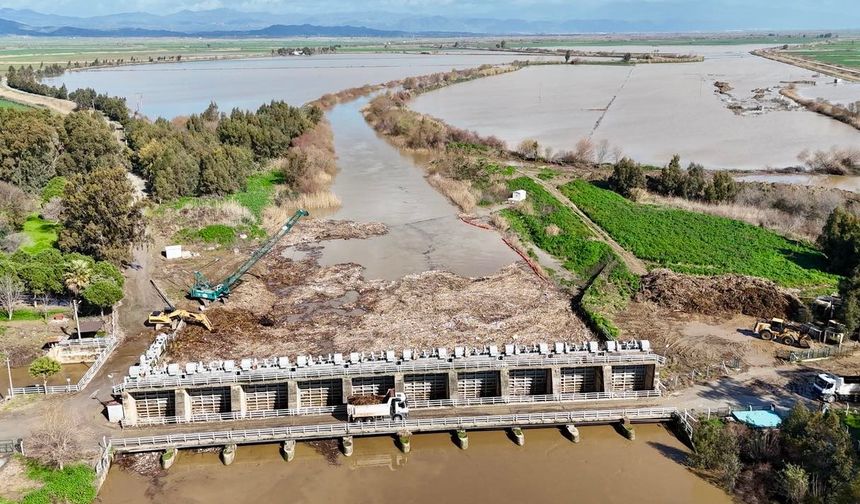 Söke Regülatörü'nde rüsubat temizliği başladı