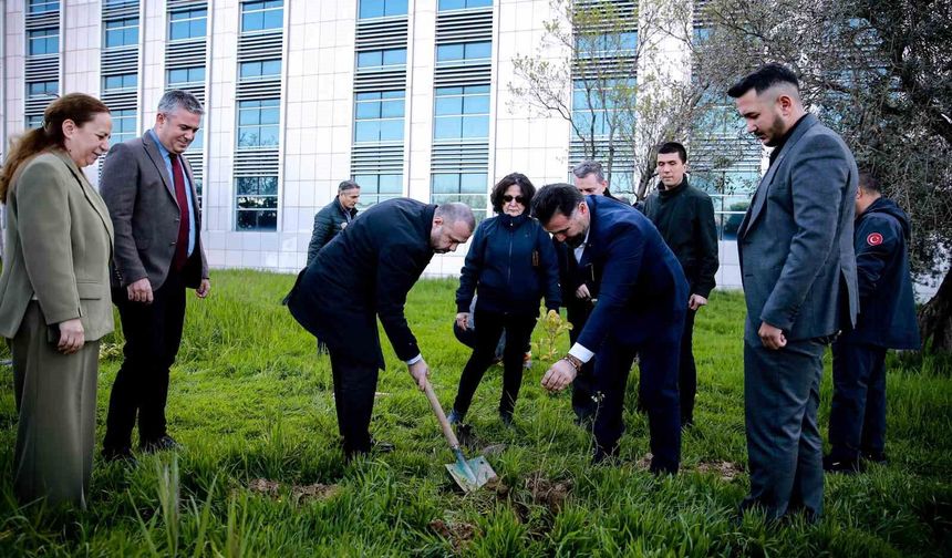 ADÜ'de fidanlar Muhsin Yazıcıoğlu anısına dikildi
