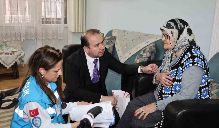 Aydın'da yaşlı çınarlar unutulmadı