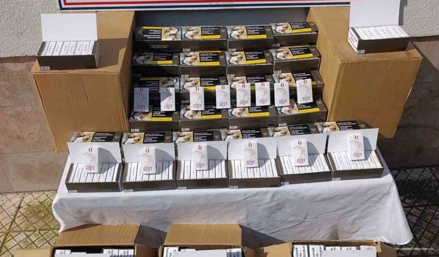 Çine'de 55 bin adet kaçak makaron ele geçirildi