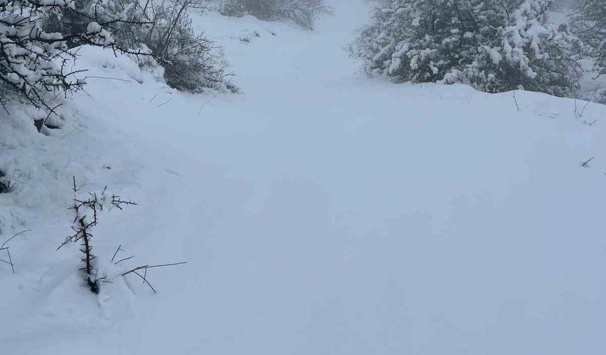 Mart sonunda Karıncalı Dağ'da kar sürprizi