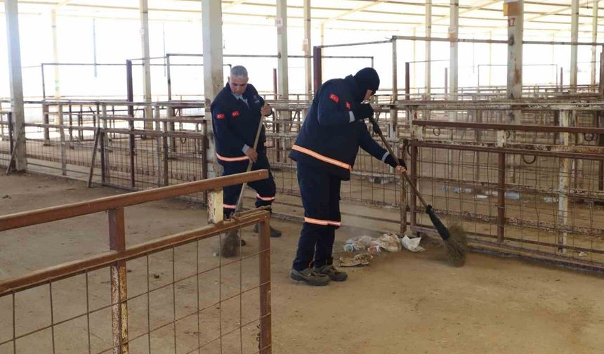 Nazilli Hayvan Pazarı 7 ay sonra yeniden açılıyor