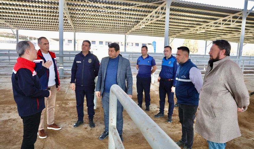 Şap hastalığı nedeniyle kapalı olan hayvan pazarı yeniden açılıyor