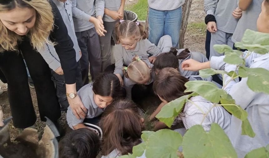 Söke'de Orman Haftası'nda fidanlar gelecek için toprakla buluştu