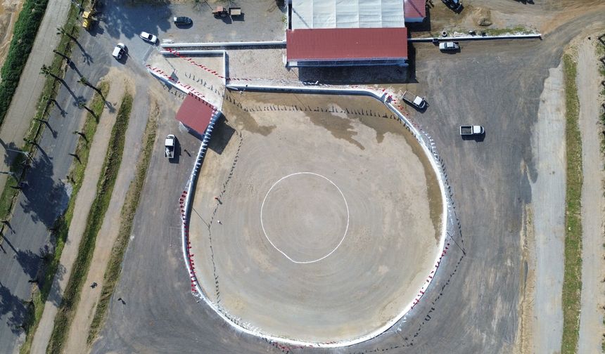 İncirliova deve festivaline hazır